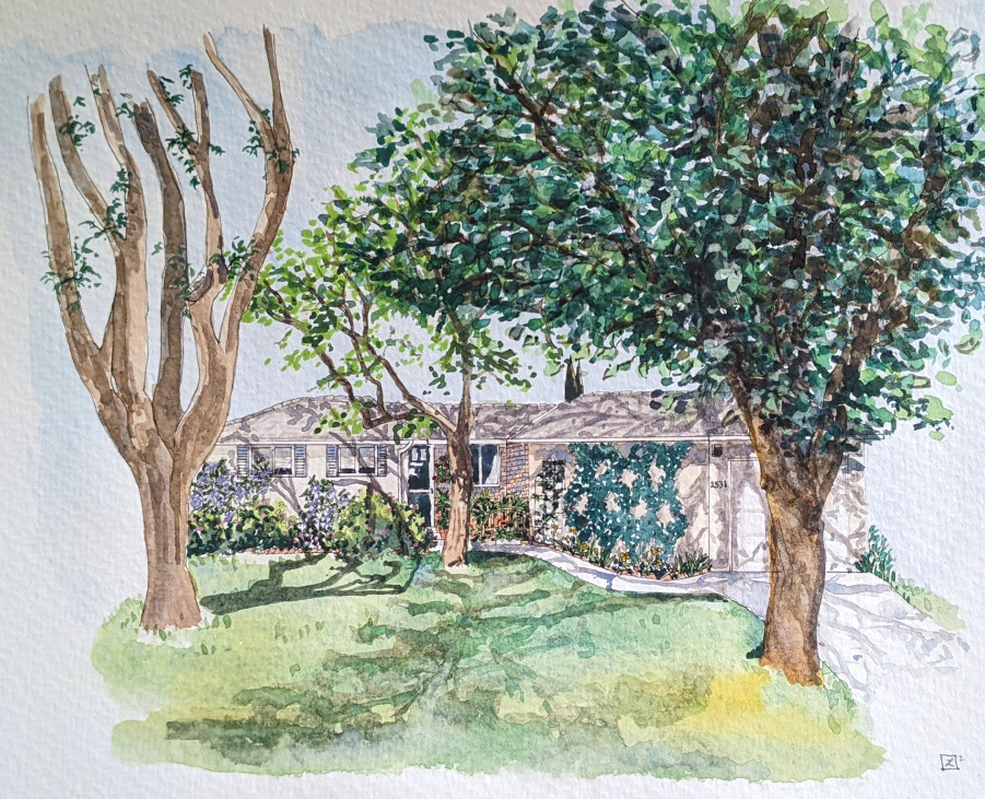 Brick house seen through trees